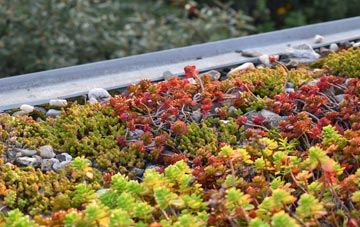 the cost of Croxden green roof installation