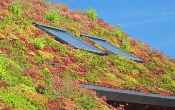 Croxden living roof systems