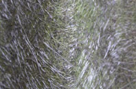 Croxden fibreglass roof work